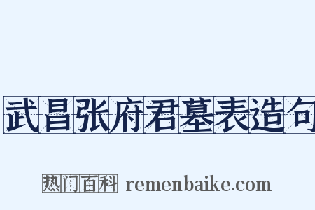 武昌张府君墓表造句是什么意思的图片